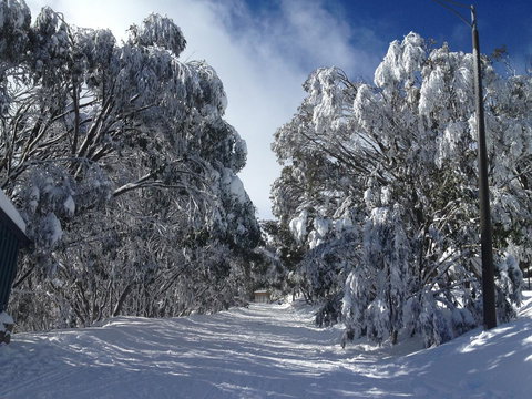 Maisonettes Falls Creek - Accommodation Newcastle 17