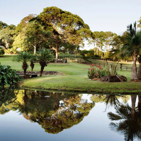 The BlueGreen SANCTUARY - Accommodation Newcastle 3