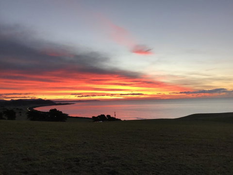 The Cove Tasmania - Accommodation Newcastle 1
