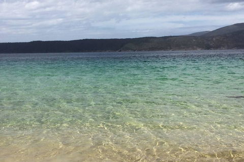 The Cove... On The Rocks At Port Arthur - Accommodation Newcastle 1
