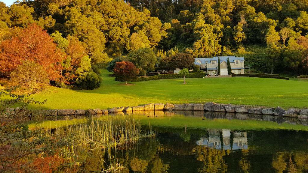 Back Forest NSW Accommodation Newcastle
