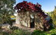 The Nissen - thumb 1