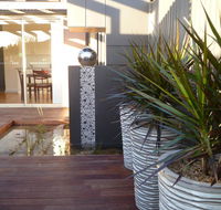 The Wet Lizard - Accommodation Newcastle