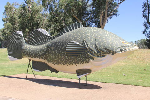 Tocumwal Hotel Motel (The Palms) - Accommodation Newcastle 1