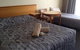 Town Centre Motor Inn - thumb 2