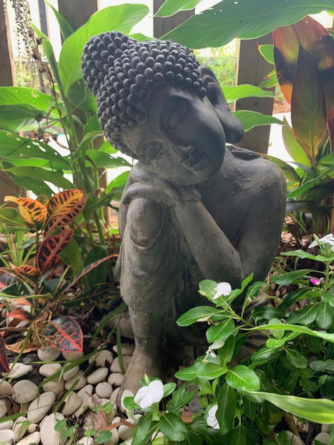 Tranquil Spa Retreat - Accommodation Newcastle 3