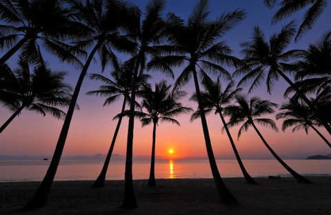 Tranquility Relax Palm Cove - Accommodation Newcastle 1