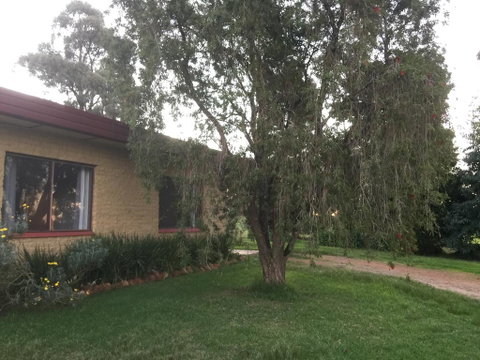 Tree Of Love Farm Stay - Accommodation Newcastle 1