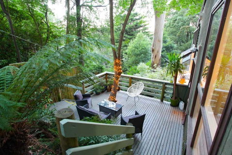 Tree Top Stay - Accommodation Newcastle 3