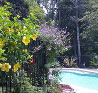 Tropical Coast Retreat - Pet Friendly - Accommodation Newcastle