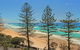 Unit 10, The Rocks, 1746 David Low Way, Coolum Beach - 500 BOND - thumb 2