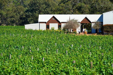 Upper Reach Spa Cottage - Accommodation Newcastle 0