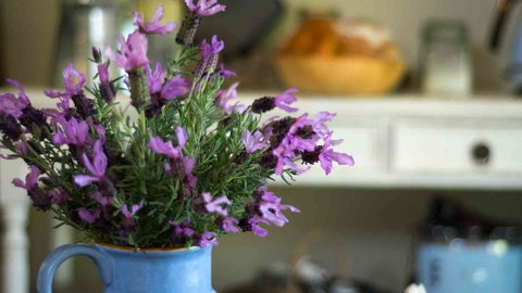 Vicarage View Cottage - Accommodation Newcastle 2