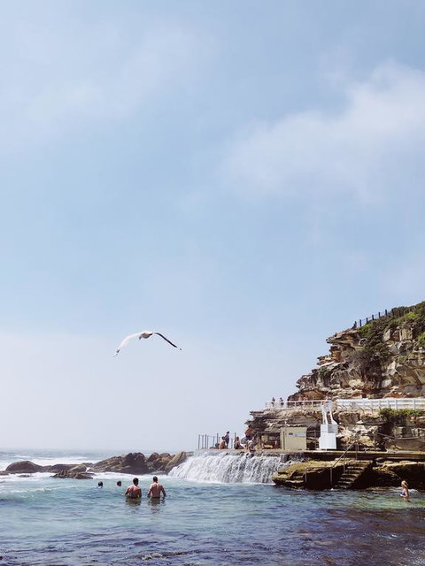 Walk To Beach From This Stylish Bronte Oasis W AC, Wifi And Free Parking - Accommodation Newcastle 3