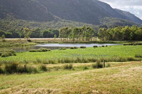Gumnut Villa - Accommodation Newcastle 11