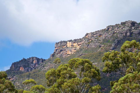 Gumnut Villa - Accommodation Newcastle 15