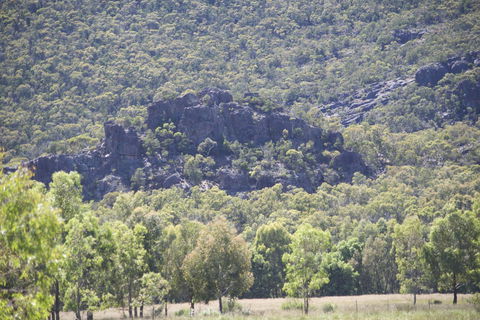 Gumnut Villa - Accommodation Newcastle 0