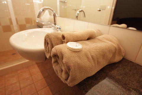 Mitchell River Tavern - Accommodation Newcastle 5