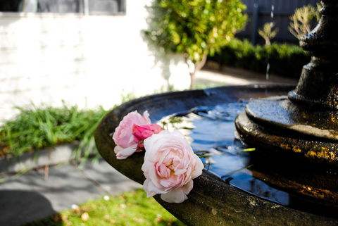 Bed Of Roses - Accommodation Newcastle 35