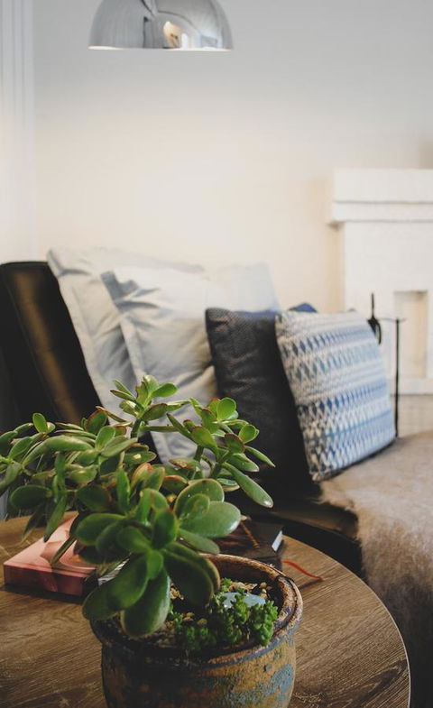 Bed Of Roses - Accommodation Newcastle 3