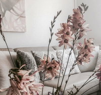 Bed of Roses - Accommodation Newcastle
