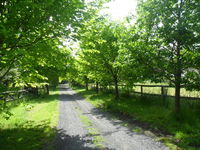Book Wonga Park Accommodation Vacations Accommodation Newcastle Accommodation Newcastle