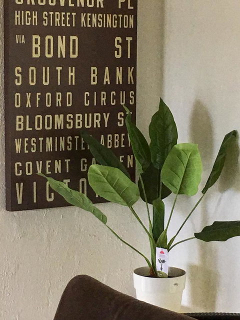 Nest On A Crest - Accommodation Newcastle 7