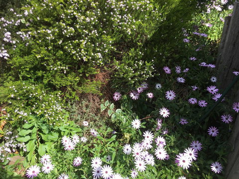 Nest On A Crest - Accommodation Newcastle 21