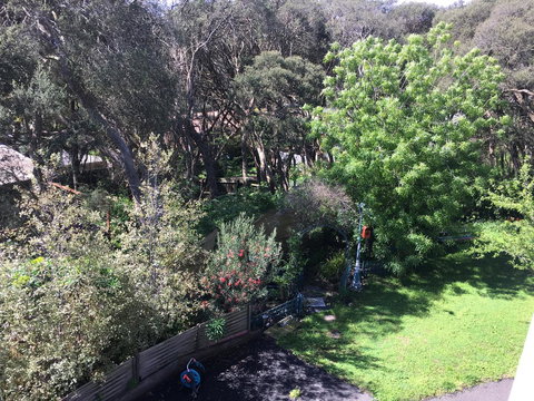 Nest On A Crest - Accommodation Newcastle 1