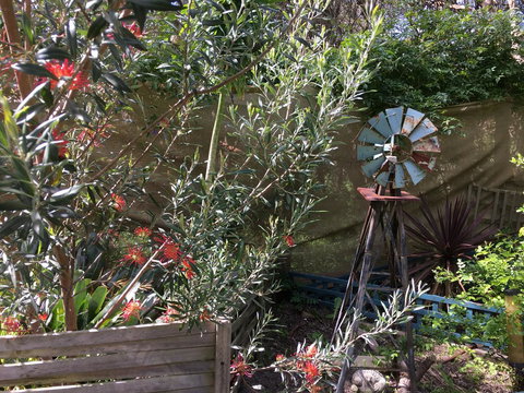 Nest On A Crest - Accommodation Newcastle 29