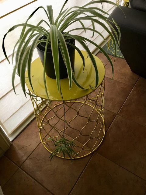 Nest On A Crest - Accommodation Newcastle 5