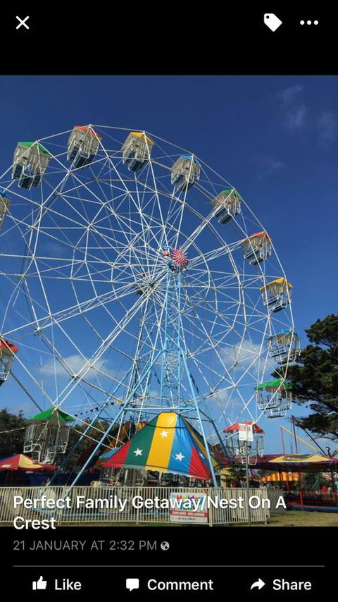 Nest On A Crest - Accommodation Newcastle 44