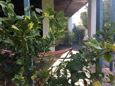 Nest On A Crest - Accommodation Newcastle 30