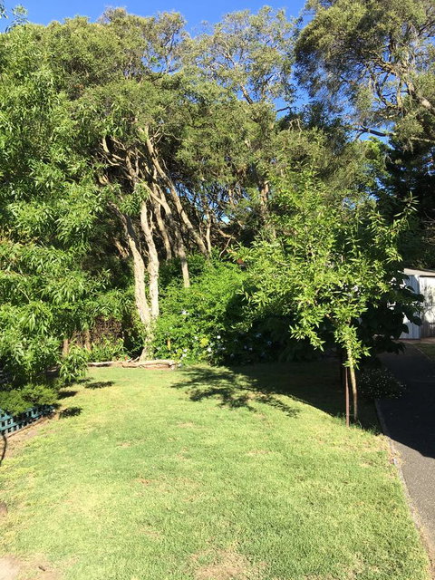 Nest On A Crest - Accommodation Newcastle 35