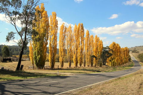 3 Bells Alpine Cottage - Accommodation Newcastle 20