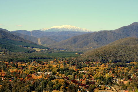 3 Bells Alpine Cottage - Accommodation Newcastle 24