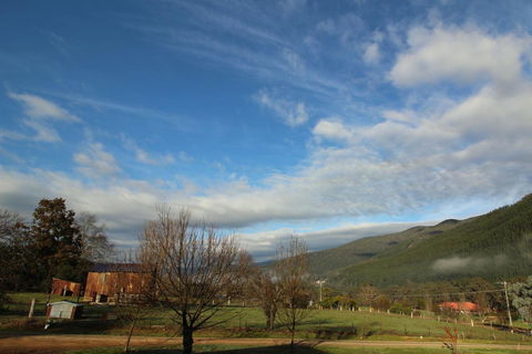 3 Bells Alpine Cottage - Accommodation Newcastle 26