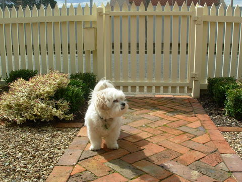 Sabina On Little Myers - Accommodation Newcastle 24