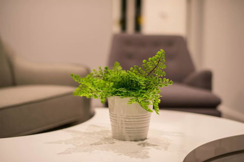 Astrina 2 Bed 2 Bath Apartment - Accommodation Newcastle 4