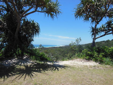 Whale Watch Ocean Beach Resort - Accommodation Newcastle 3