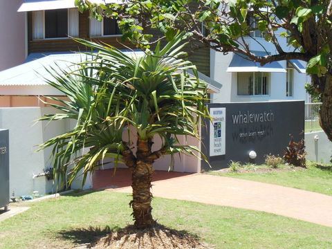 Whale Watch Ocean Beach Resort - Accommodation Newcastle 15
