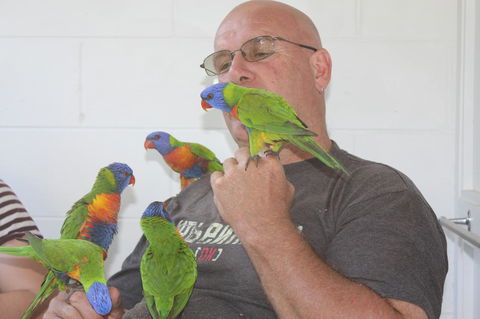 Amaroo On Mandalay, Magnetic Island - Accommodation Newcastle 33