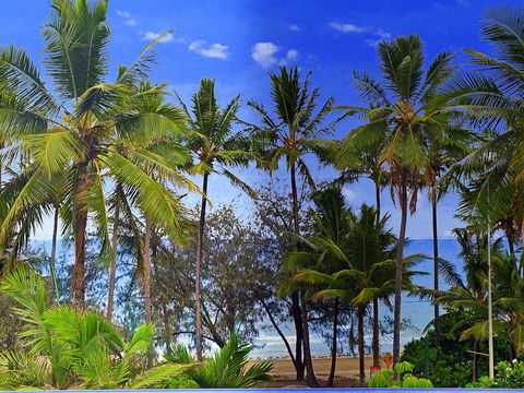 By The Sea Port Douglas - Accommodation Newcastle 3