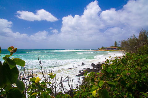 Rainbow Bay Backpackers - Accommodation Newcastle 0