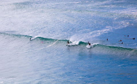 Rainbow Bay Backpackers - Accommodation Newcastle 27
