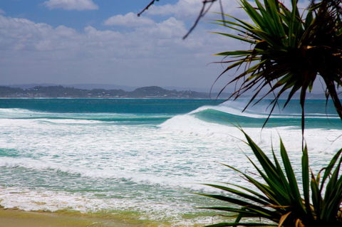 Rainbow Bay Backpackers - Accommodation Newcastle 20