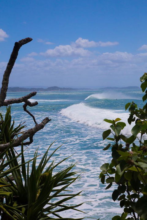 Rainbow Bay Backpackers - Accommodation Newcastle 14