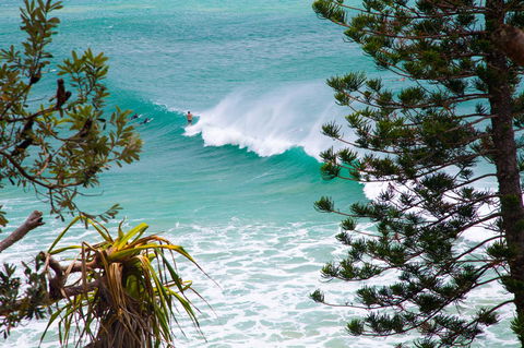 Rainbow Bay Backpackers - Accommodation Newcastle 15