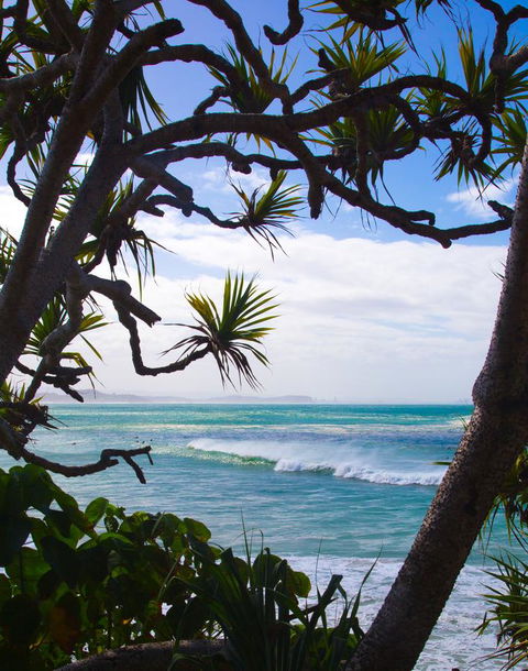 Rainbow Bay Backpackers - Accommodation Newcastle 25