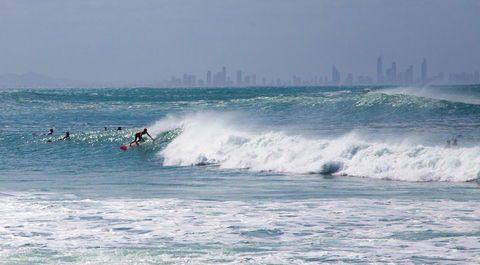 Rainbow Bay Backpackers - Accommodation Newcastle 22